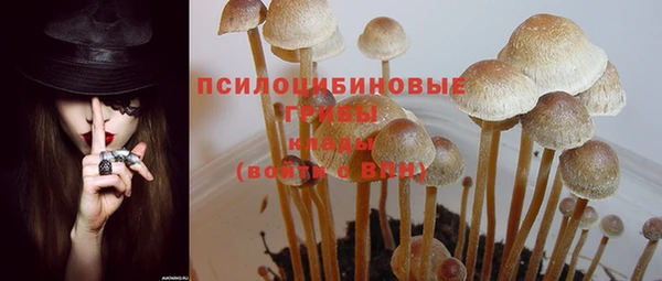 mdpv Абдулино