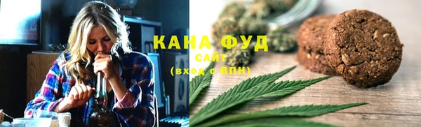 мет Алексин