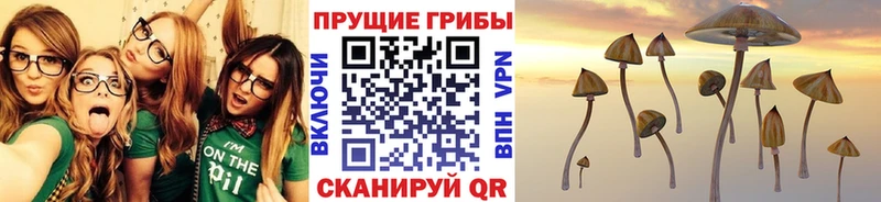 дарк нет Telegram  Новоуральск  Псилоцибиновые грибы MAGIC MUSHROOMS 