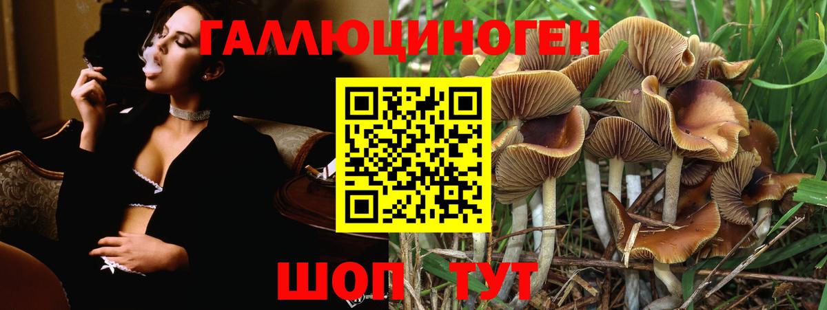 Псилоцибиновые грибы мухоморы  Вход с VPN  Новоуральск 