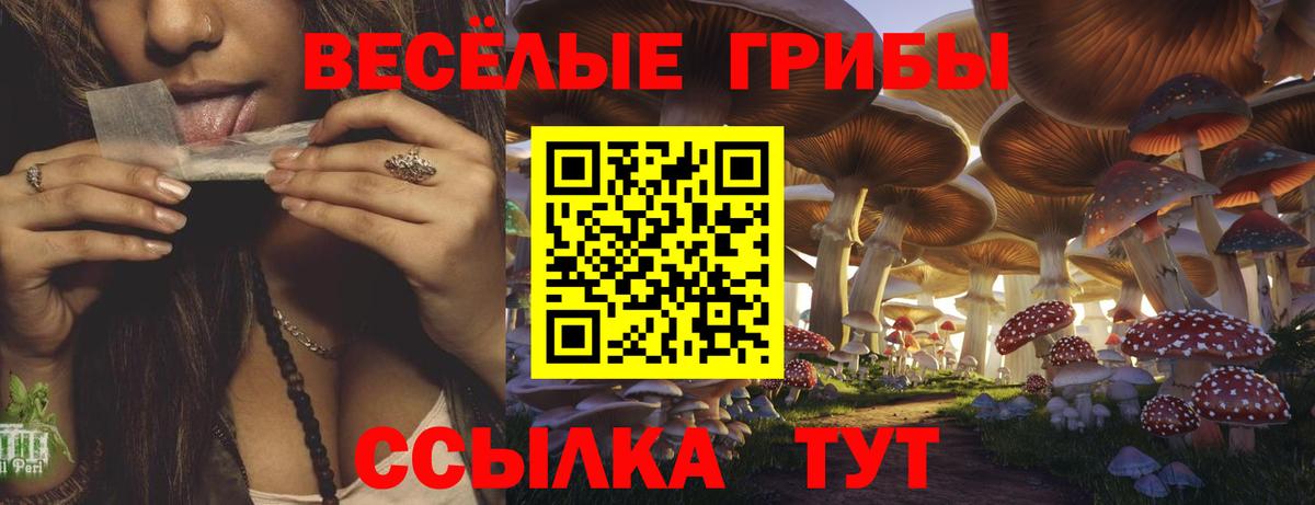 Галлюциногенные грибы GOLDEN TEACHER Новоуральск