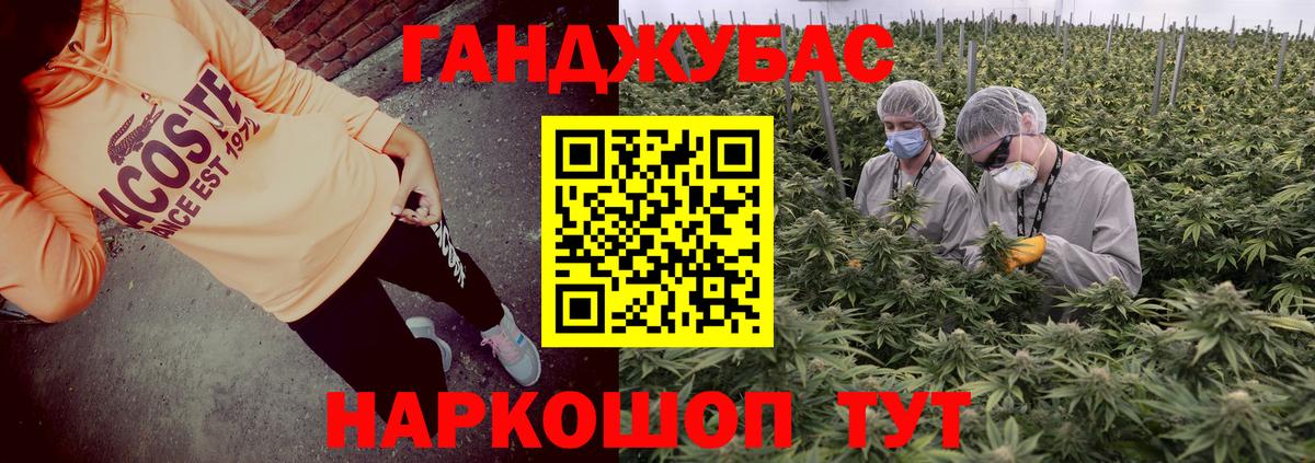 Каннабис сатива Новоуральск